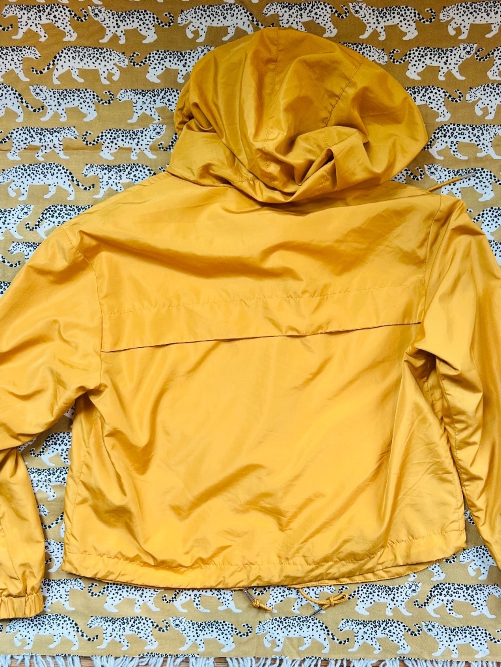 Windbreaker - Picture 6 of 9
